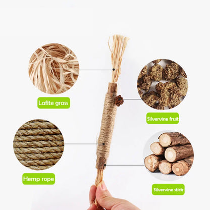 Cat Toy Silvervine Chew Stick - Natural Polygonum & Raffia Grass for Healthy Teeth and Fun Play