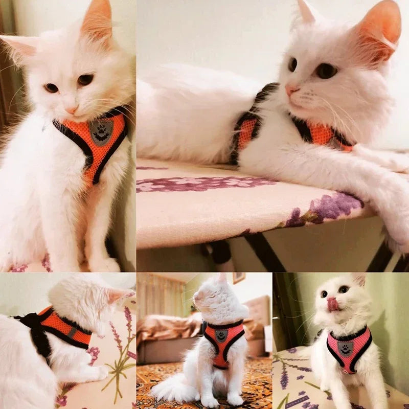 Adjustable Mesh Cat Harness Vest with Leash - Reflective, Breathable Walking Harness for Small and Medium Dogs & Kittens