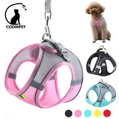 Adjustable Dog Harness and Leash Set for Small Dogs and Cats - Reflective, Breathable Vest for Outdoor Walking - Perfect for French Bulldogs, Chihuahuas, and Pugs