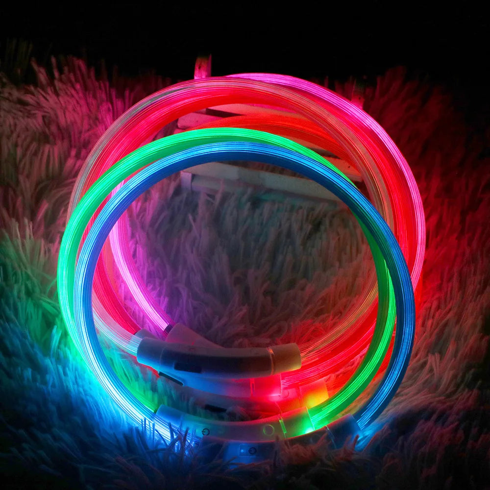 USB Rechargeable LED Dog Collar - Luminous Reflective Safety Collar with 3 Light Modes